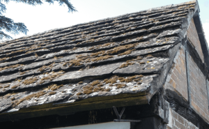 Right Building Surveys slate roof inspection